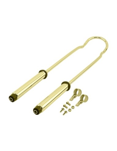 Sissy Bar W/Shock 34 Gold.